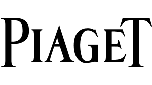 伯爵维修
